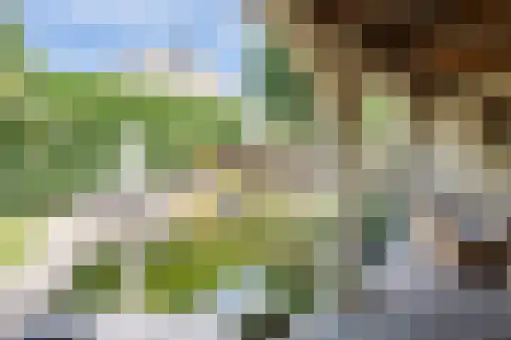 Gerestein 46 Deil thumbnail 29