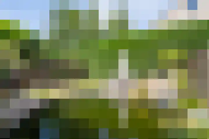 Gerestein 46 Deil thumbnail 31