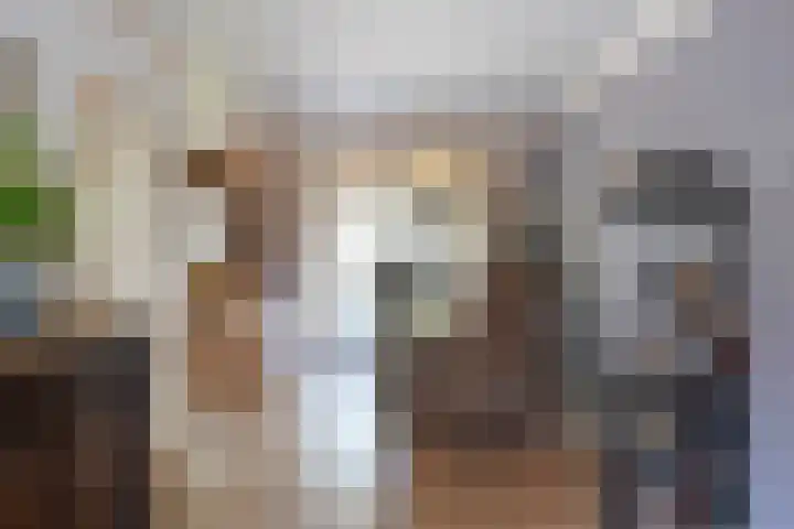 Gerestein 46 Deil thumbnail 7