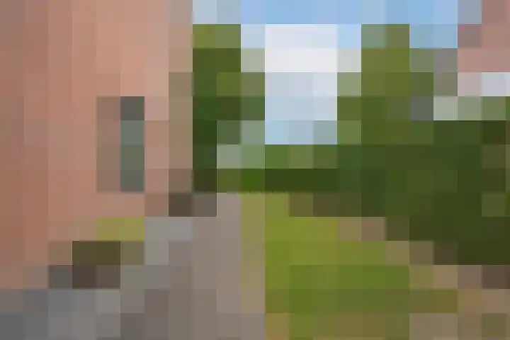 Gerestein 5 Tiel thumbnail 45
