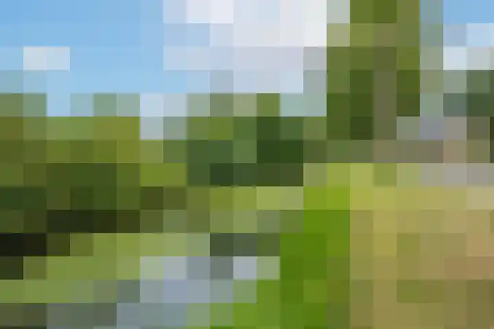 Gerestein 5 Tiel thumbnail 5