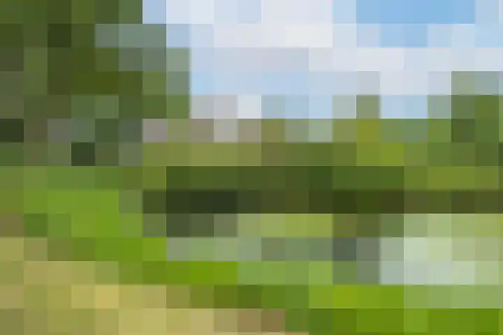 Gerestein 5 Tiel thumbnail 9