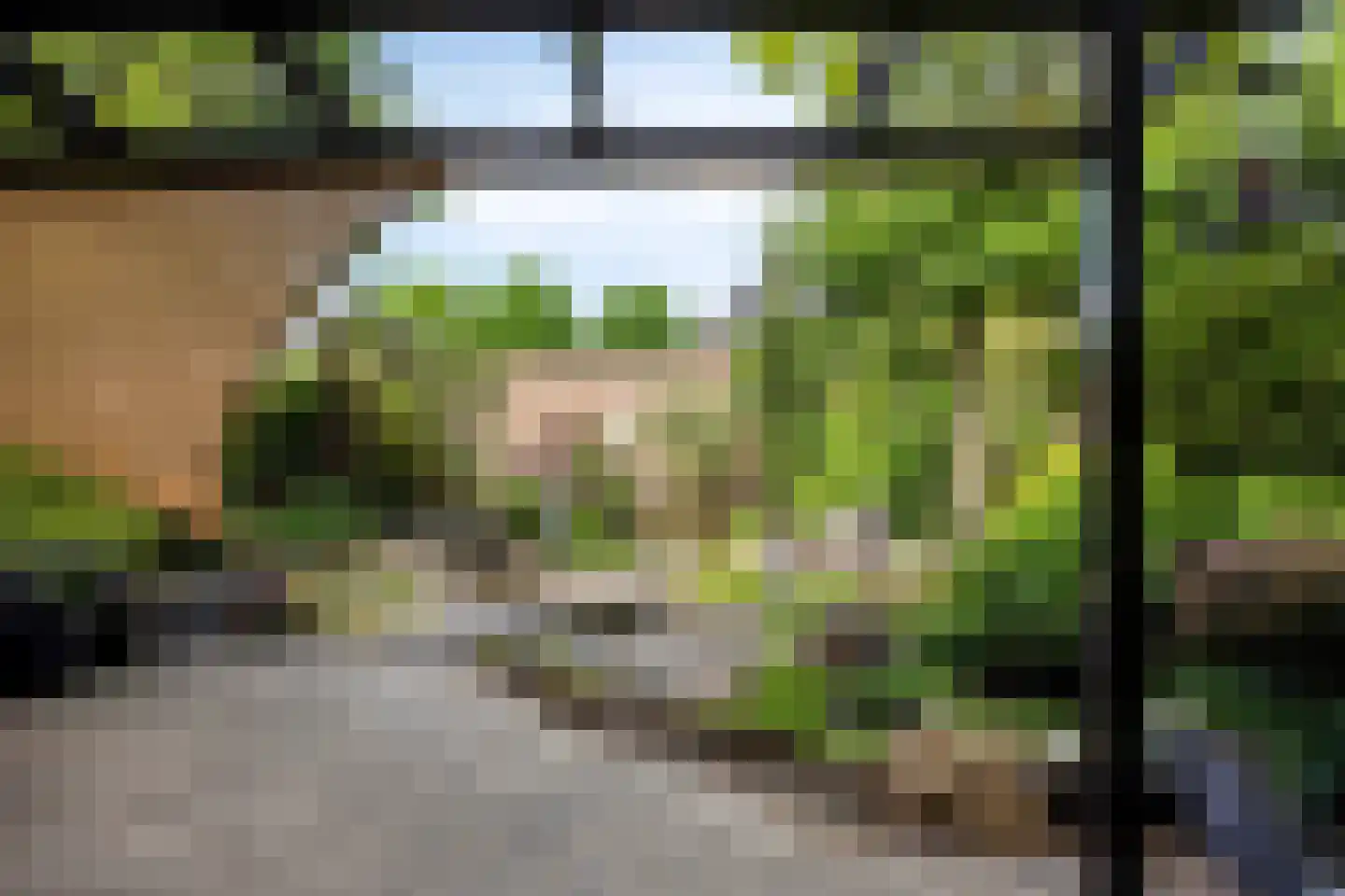 Gerestein 51 Tiel thumbnail 58