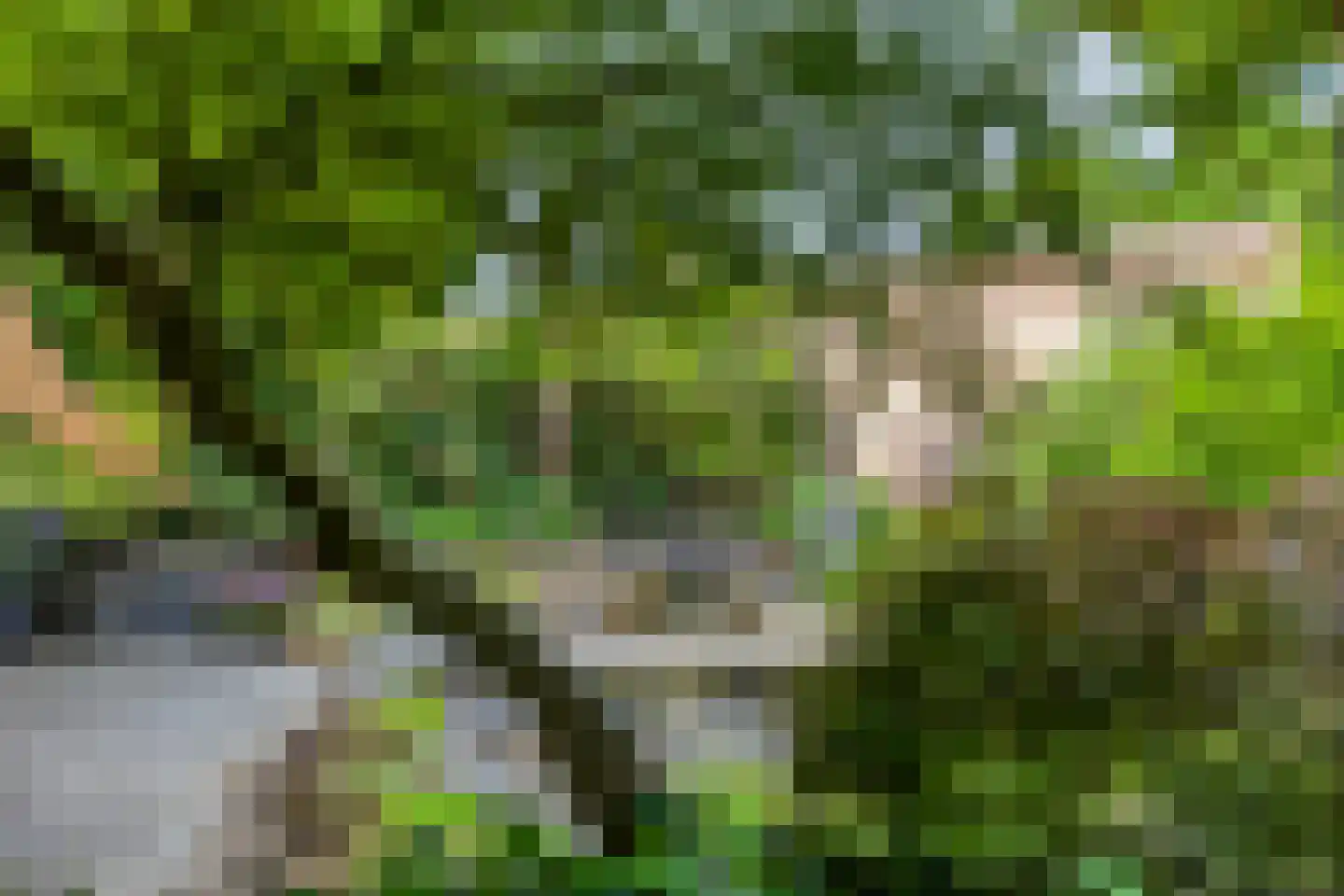 Gerestein 51 Tiel thumbnail 61