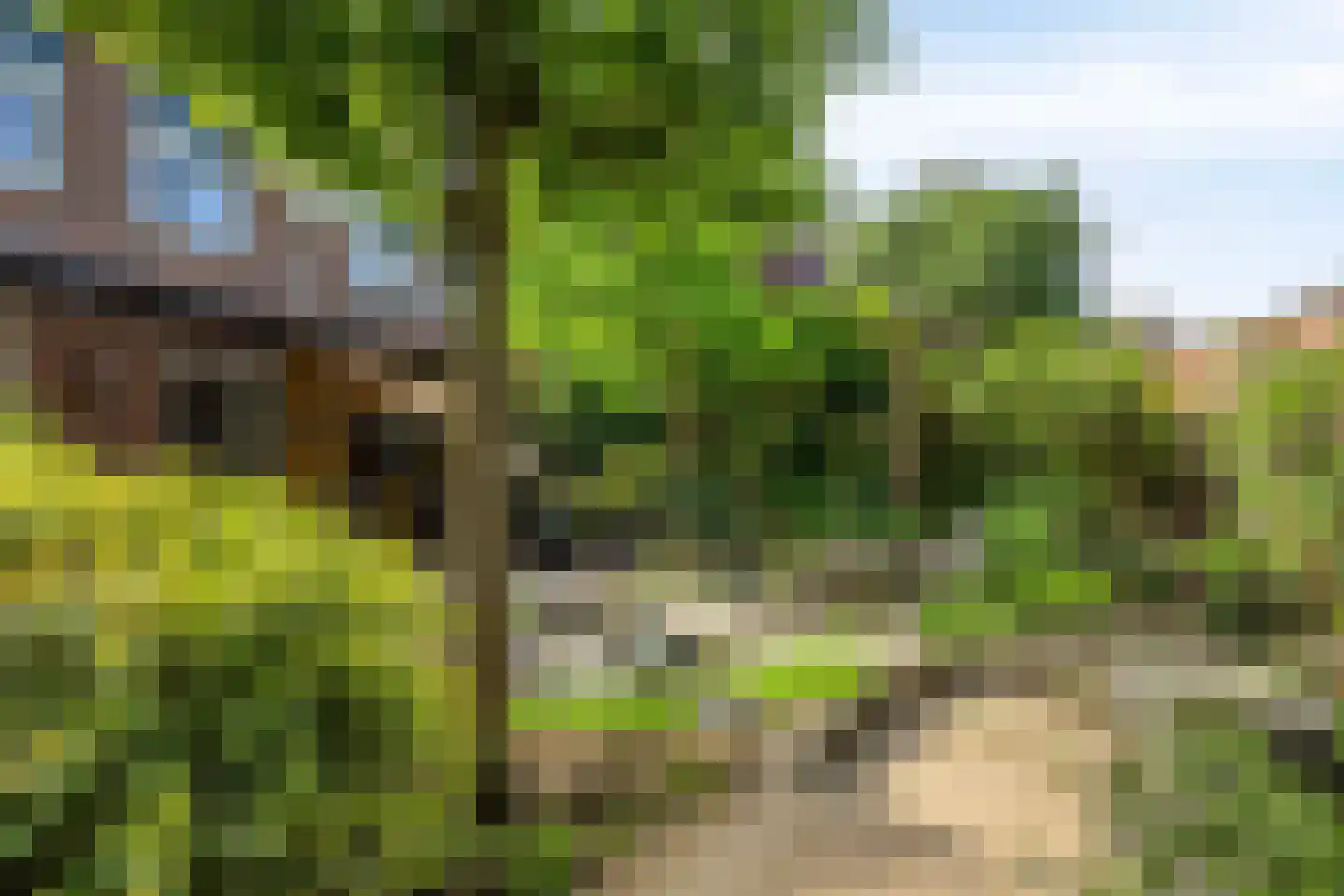 Gerestein 51 Tiel thumbnail 62