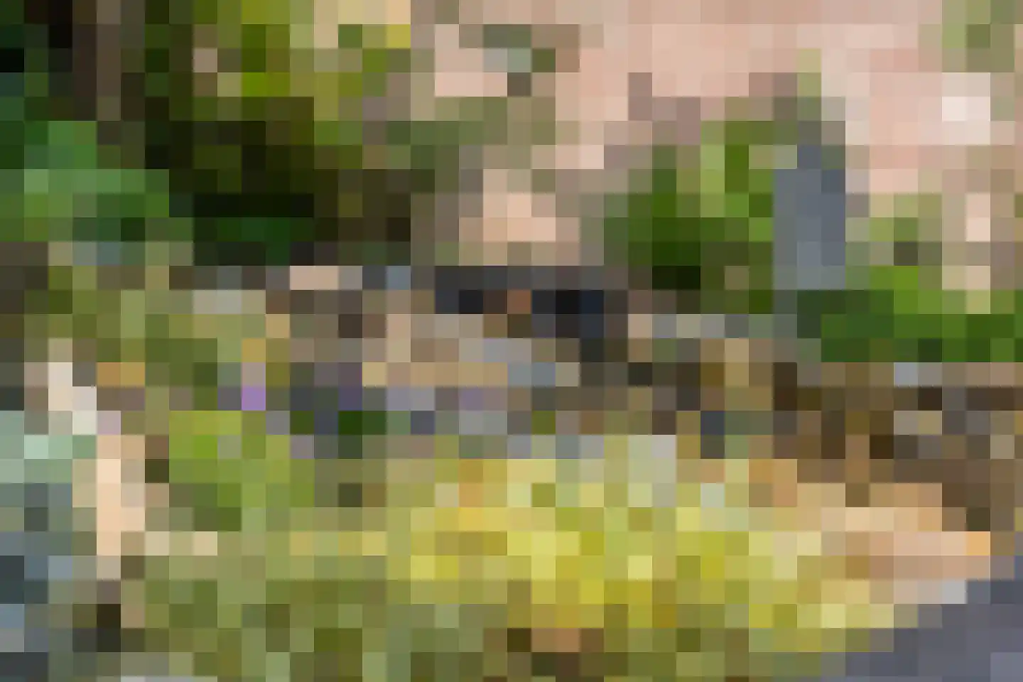 Gerestein 51 Tiel thumbnail 65