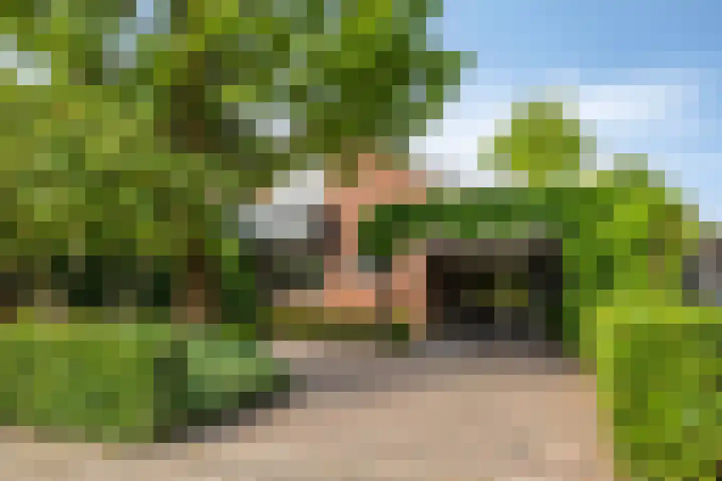 Gerestein 51 Tiel thumbnail 71