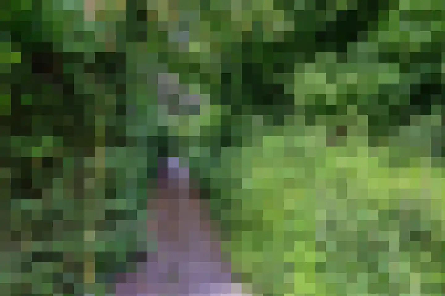 Gerestein 51 Tiel thumbnail 80