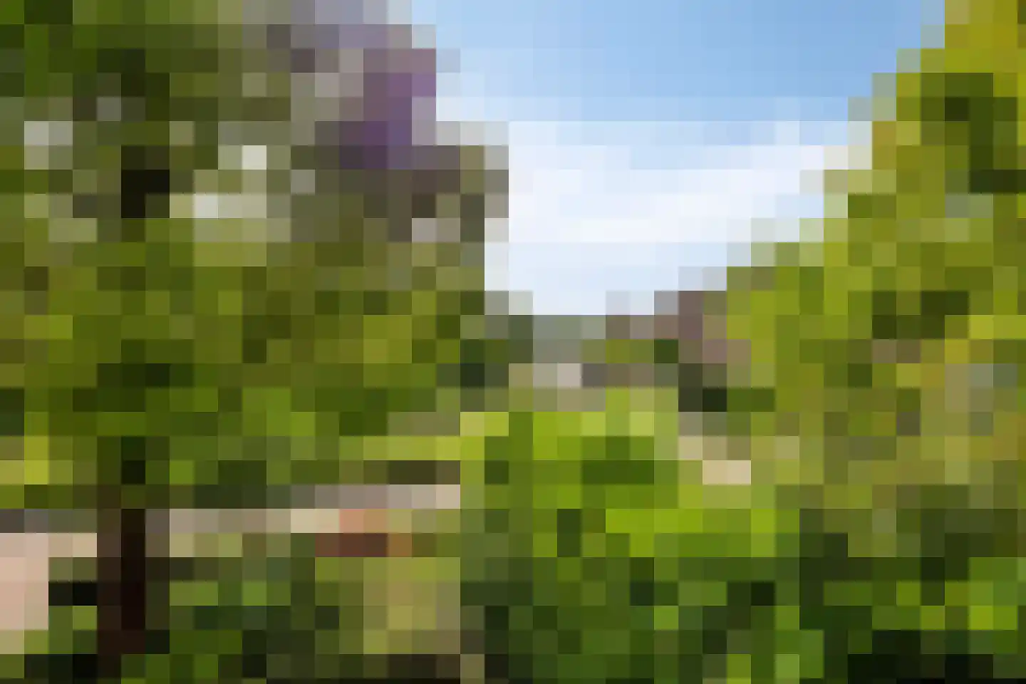Gerestein 51 Tiel thumbnail 81