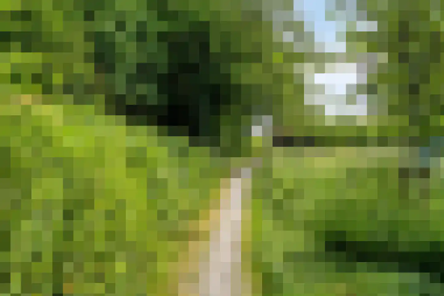 Gerestein 51 Tiel thumbnail 82