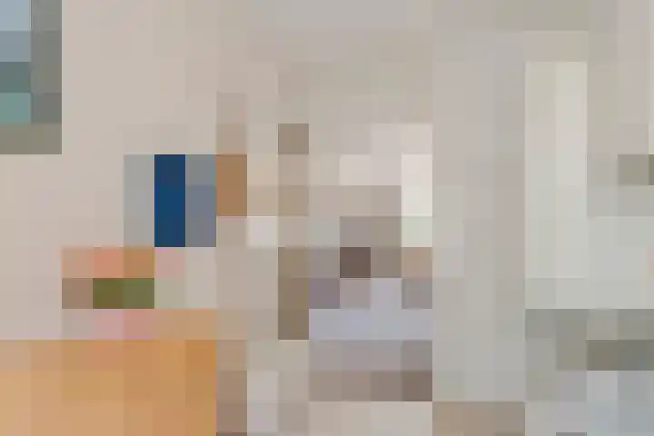 Gerestein 6 Deil thumbnail 14