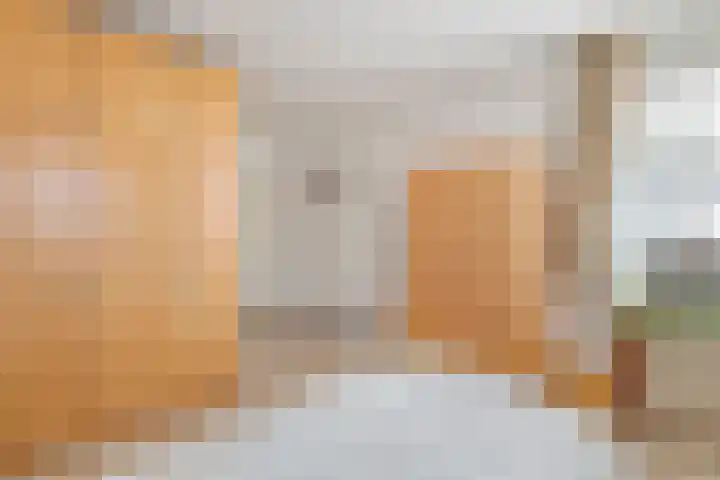 Gerestein 6 Deil thumbnail 17