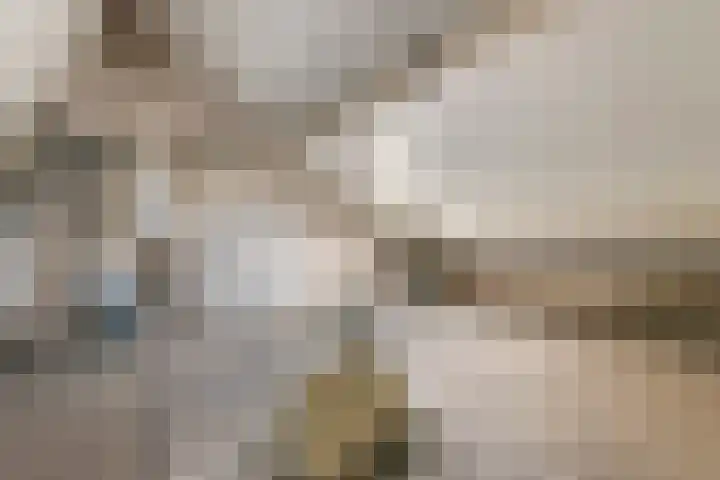 Gerestein 6 Deil thumbnail 23
