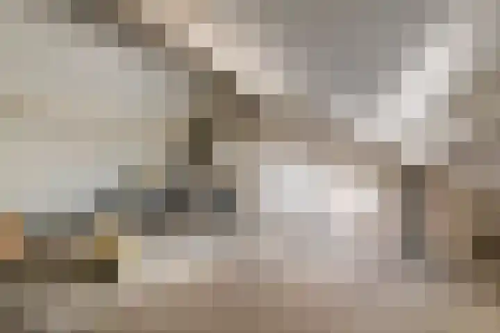 Gerestein 6 Deil thumbnail 24