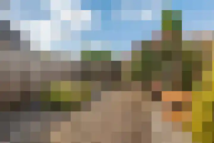 Gerestein 6 Deil thumbnail 27
