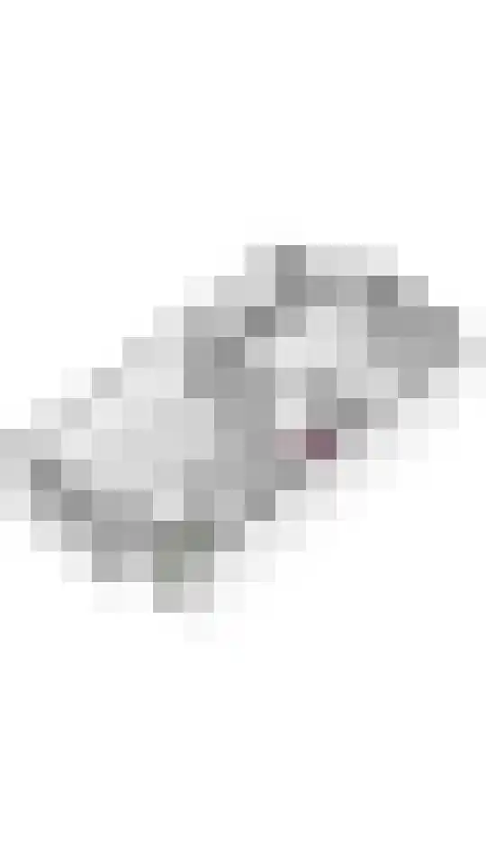 Gerestein 6 Deil thumbnail 33
