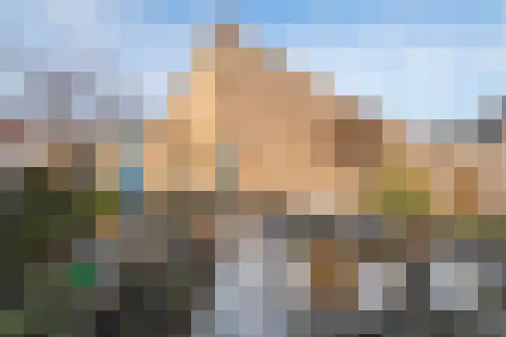 Gerestein 8 Deil thumbnail 27