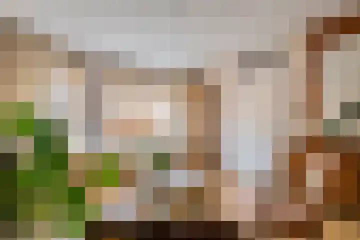 Gerestein 8 Deil thumbnail 7
