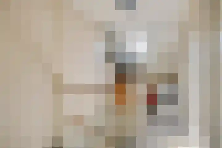 Gerestein 8 Tiel thumbnail 22