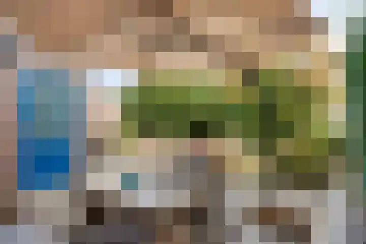 Gerestein 8 Tiel thumbnail 27