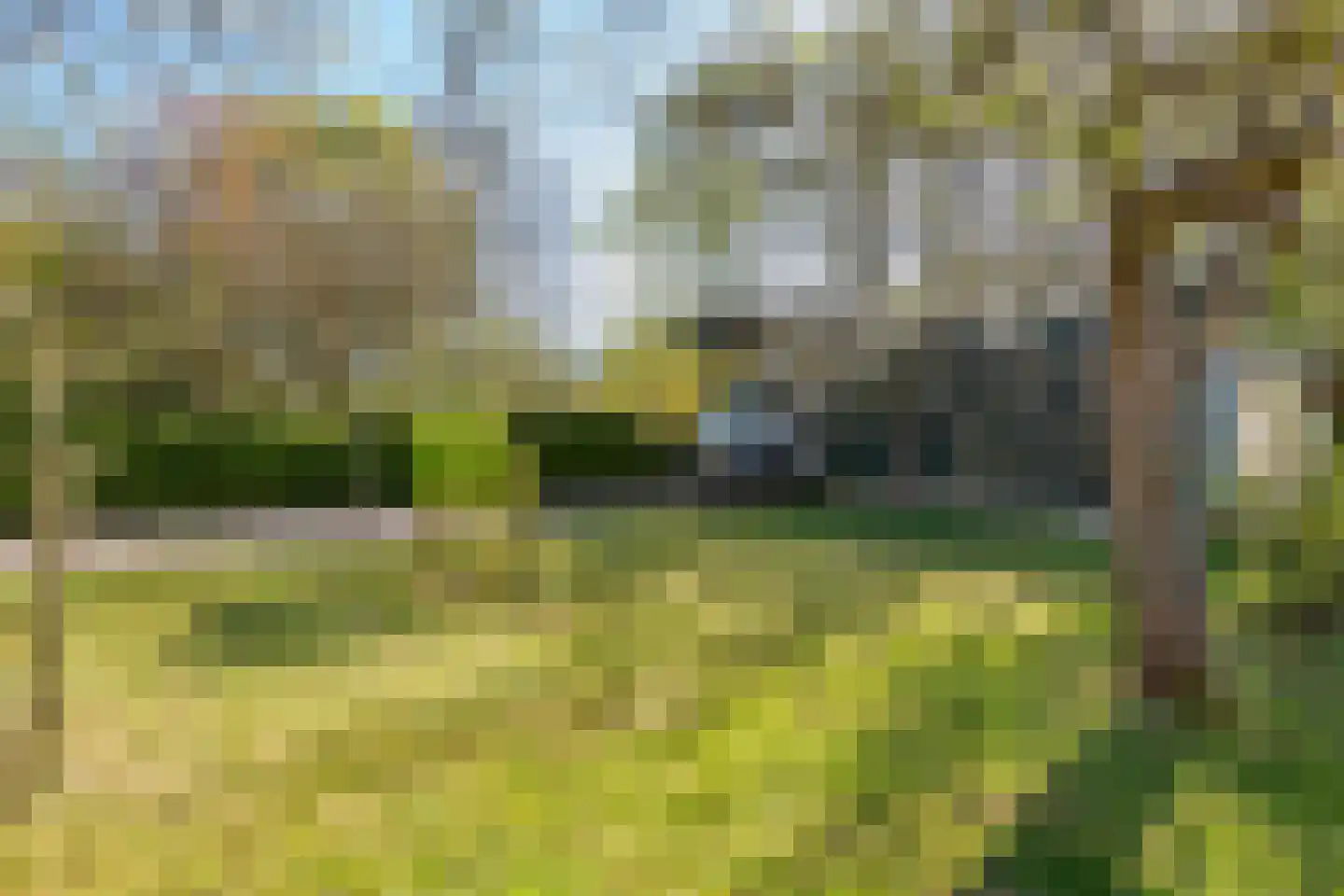 Gerestraat 17 Heesselt thumbnail 11