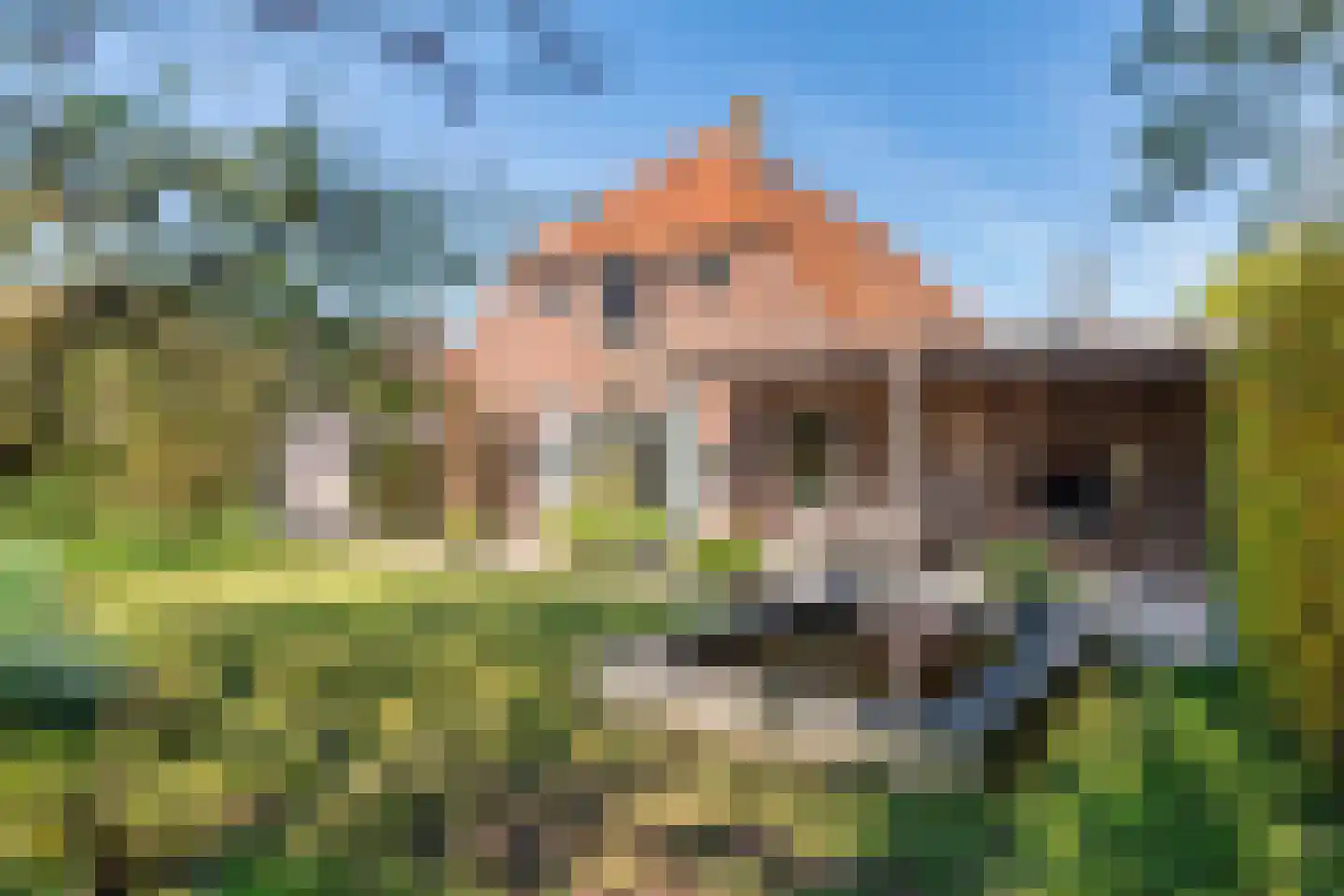 Gerestraat 17 Heesselt thumbnail 13