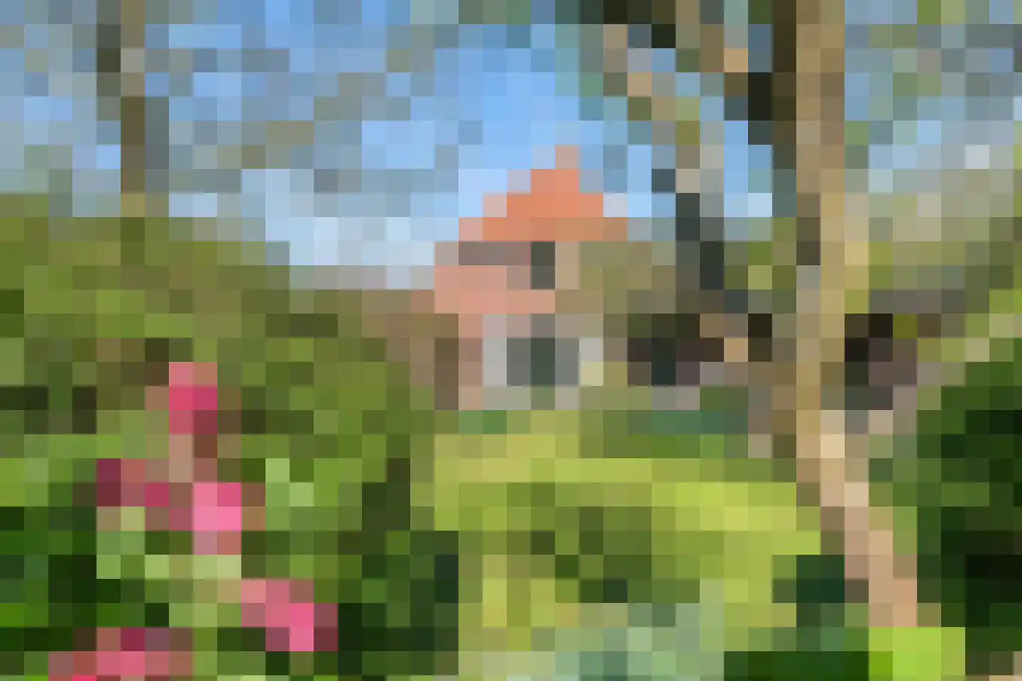 Gerestraat 17 Heesselt thumbnail 14
