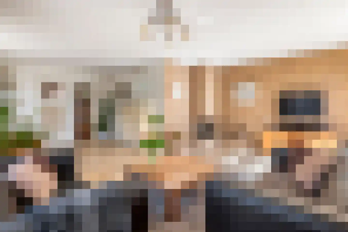 Gerestraat 17 Heesselt thumbnail 19