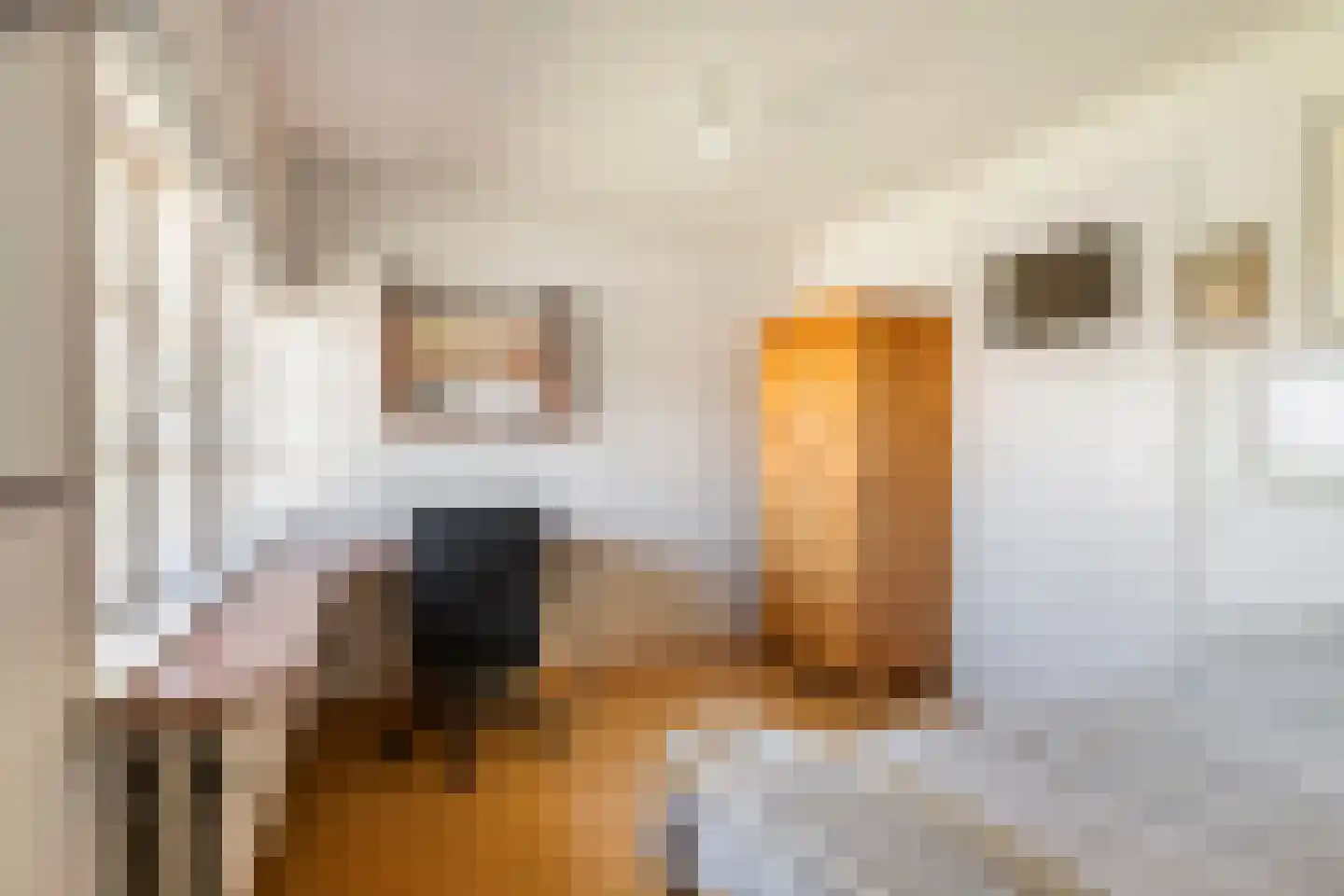 Gerestraat 17 Heesselt thumbnail 29