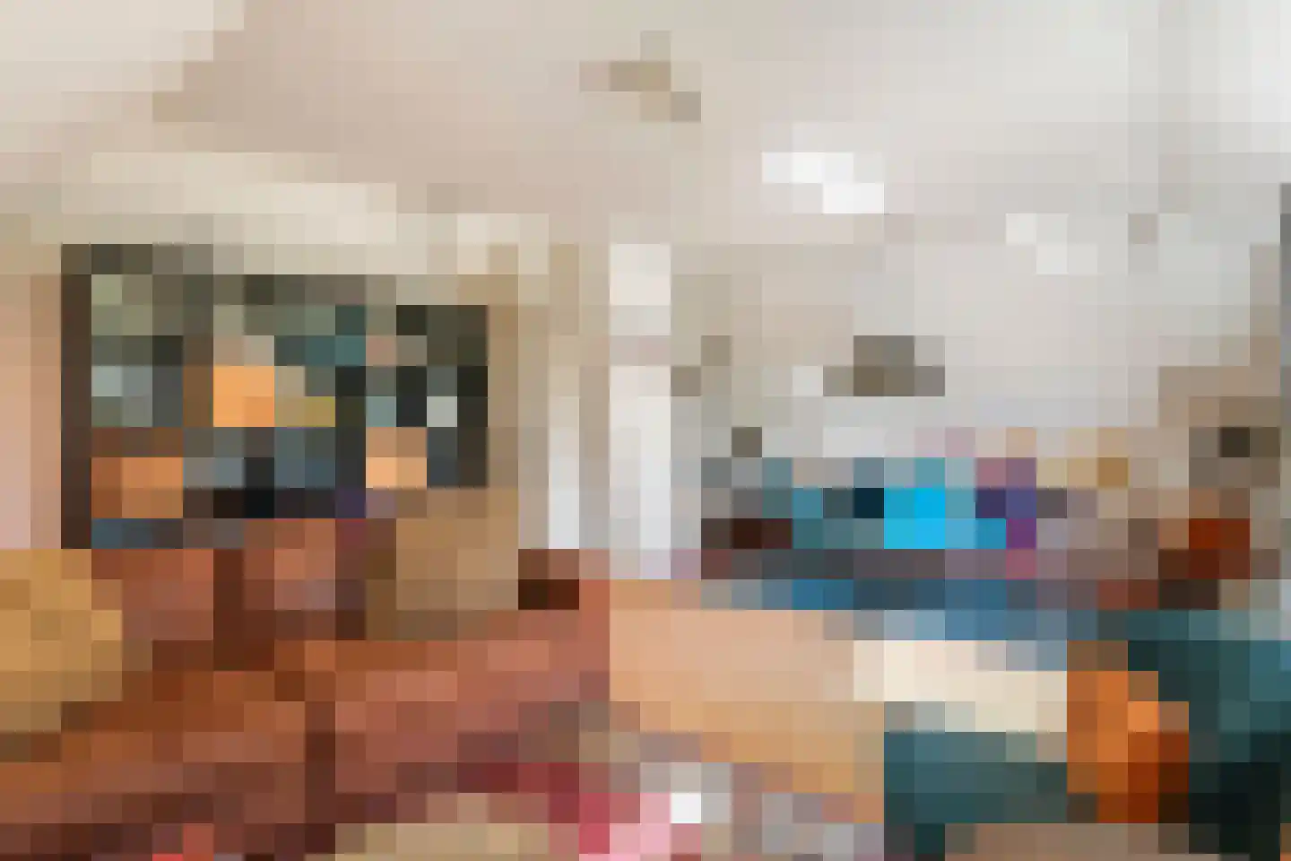 Gerestraat 17 Heesselt thumbnail 33