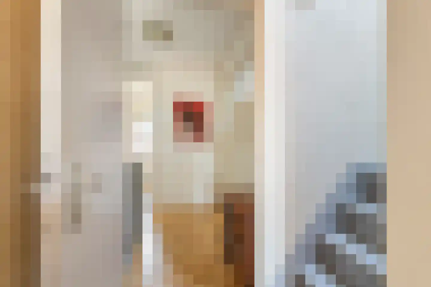Gerestraat 17 Heesselt thumbnail 34