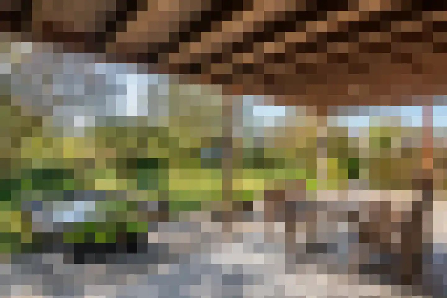Gerestraat 17 Heesselt thumbnail 38
