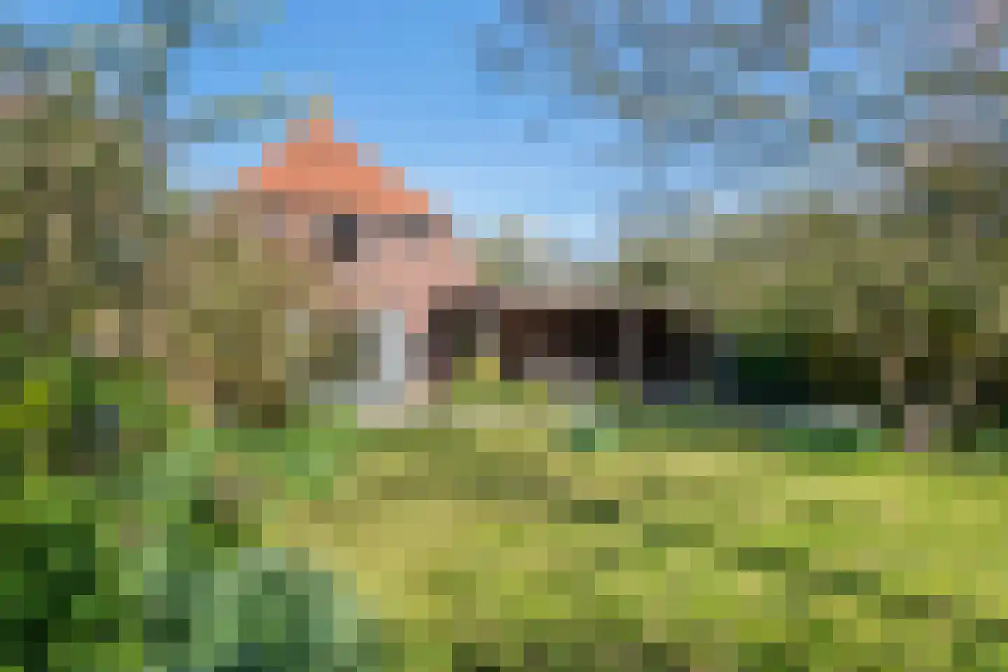 Gerestraat 17 Heesselt thumbnail 39