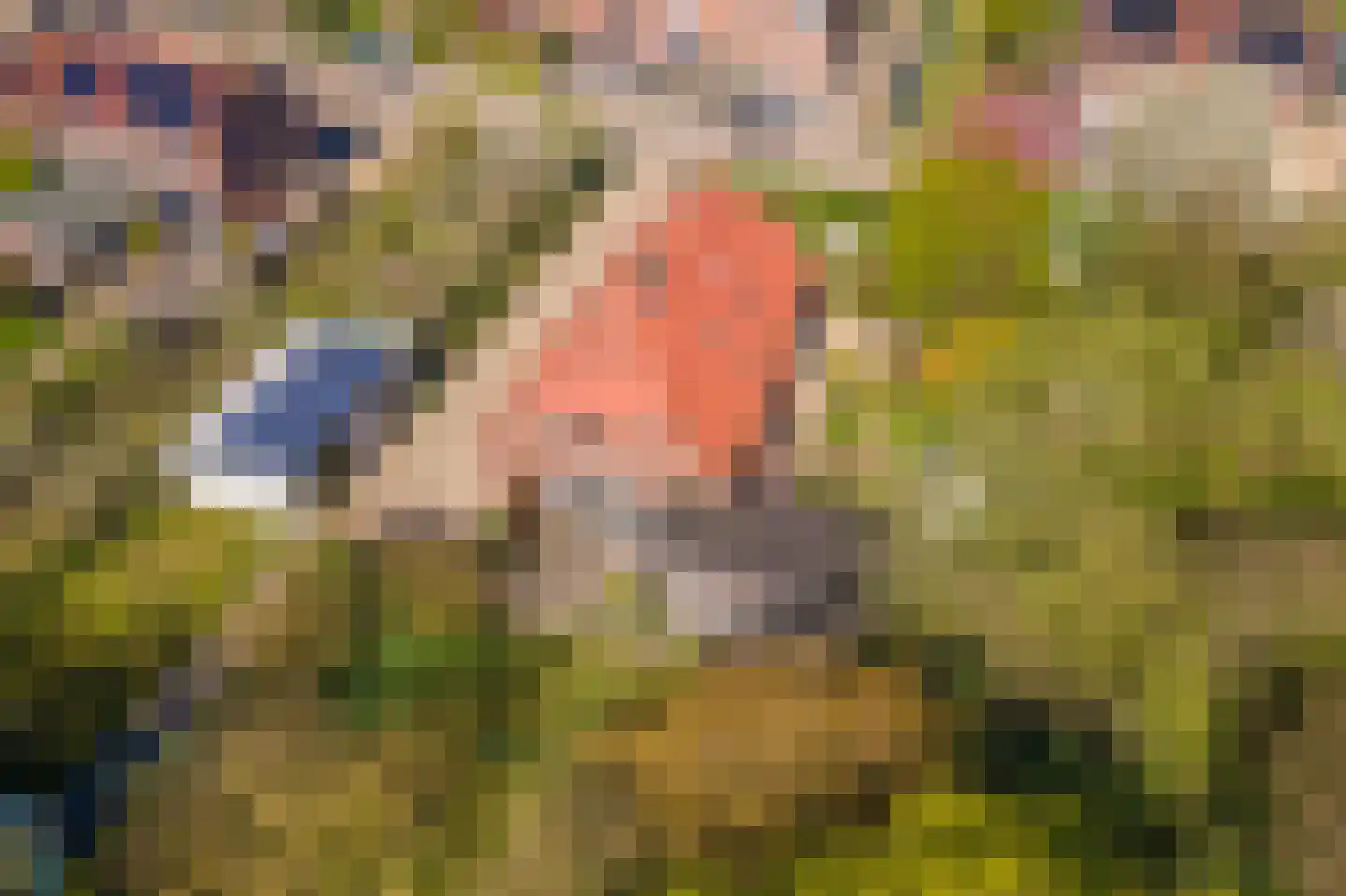 Gerestraat 17 Heesselt thumbnail 4