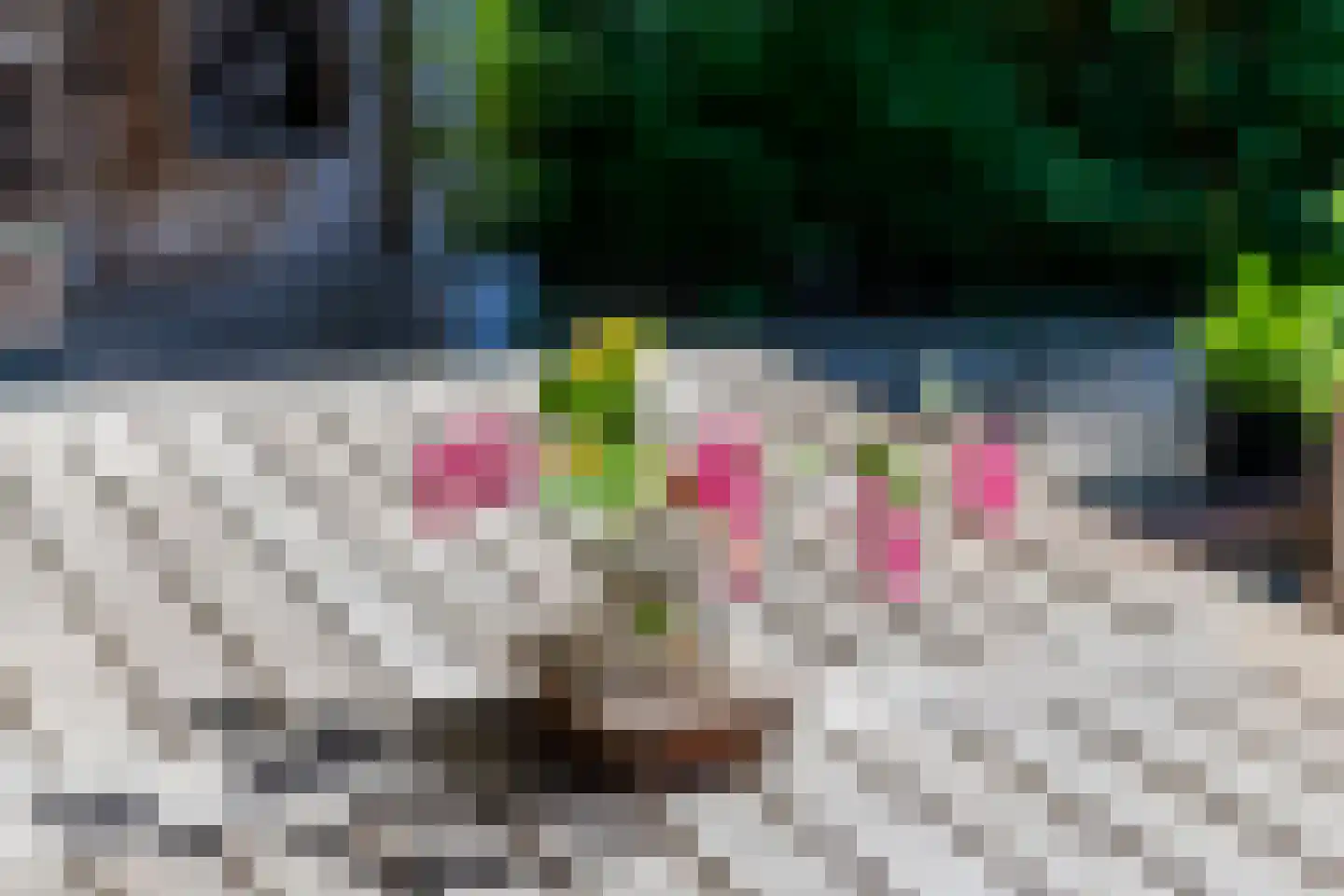 Gerestraat 17 Heesselt thumbnail 41