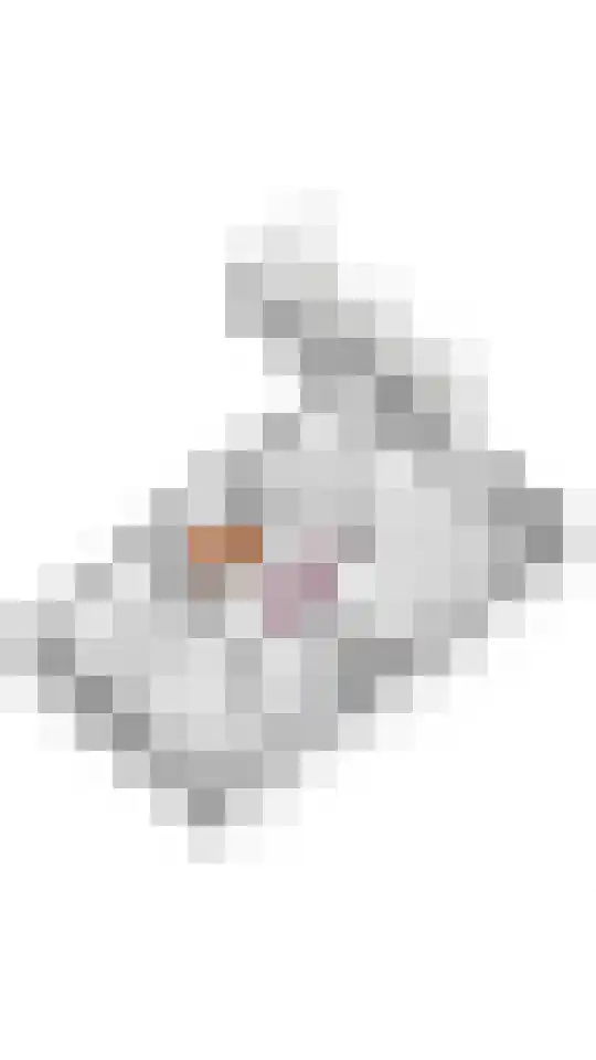 Gerestraat 17 Heesselt thumbnail 45