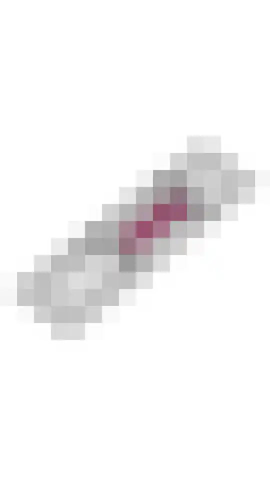 Gerestraat 17 Heesselt thumbnail 49