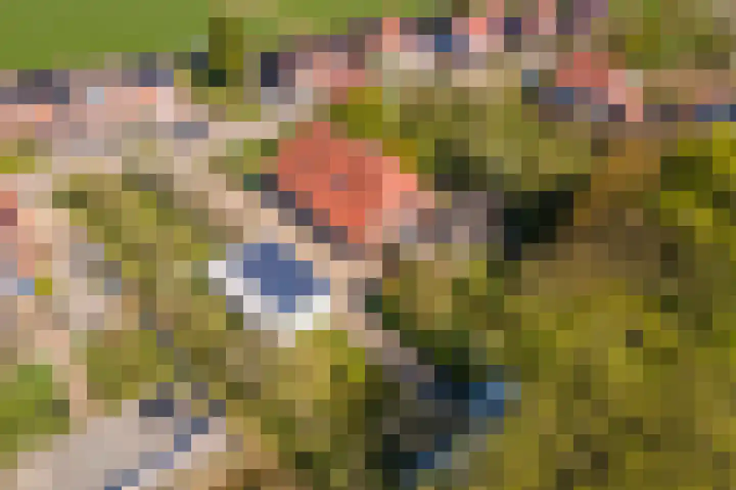 Gerestraat 17 Heesselt thumbnail 5