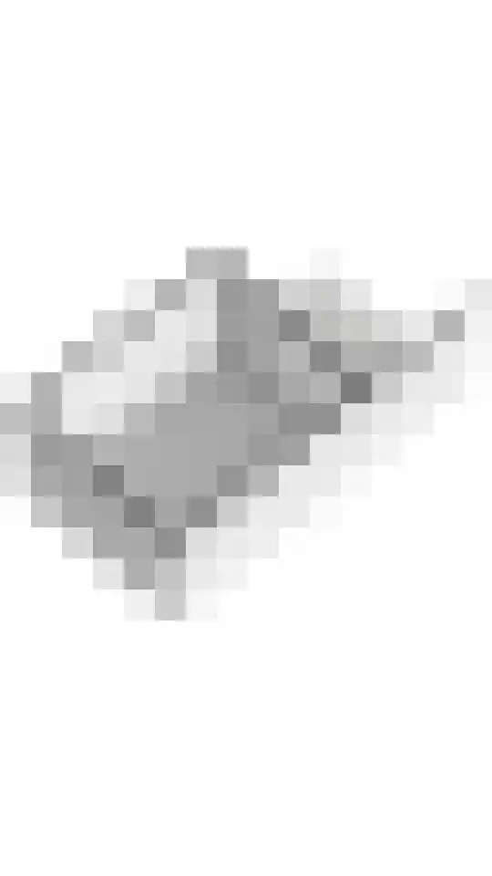 Gerestraat 17 Heesselt thumbnail 51