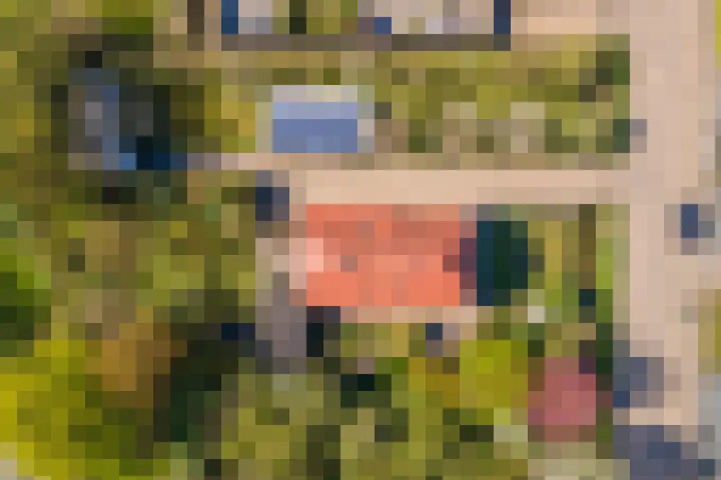Gerestraat 17 Heesselt thumbnail 6