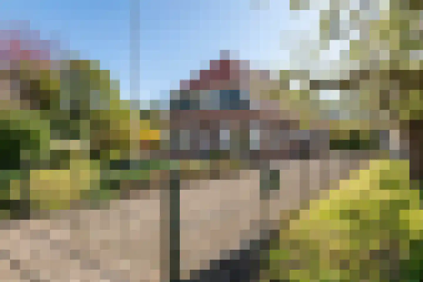 Gerestraat 17 Heesselt thumbnail 7