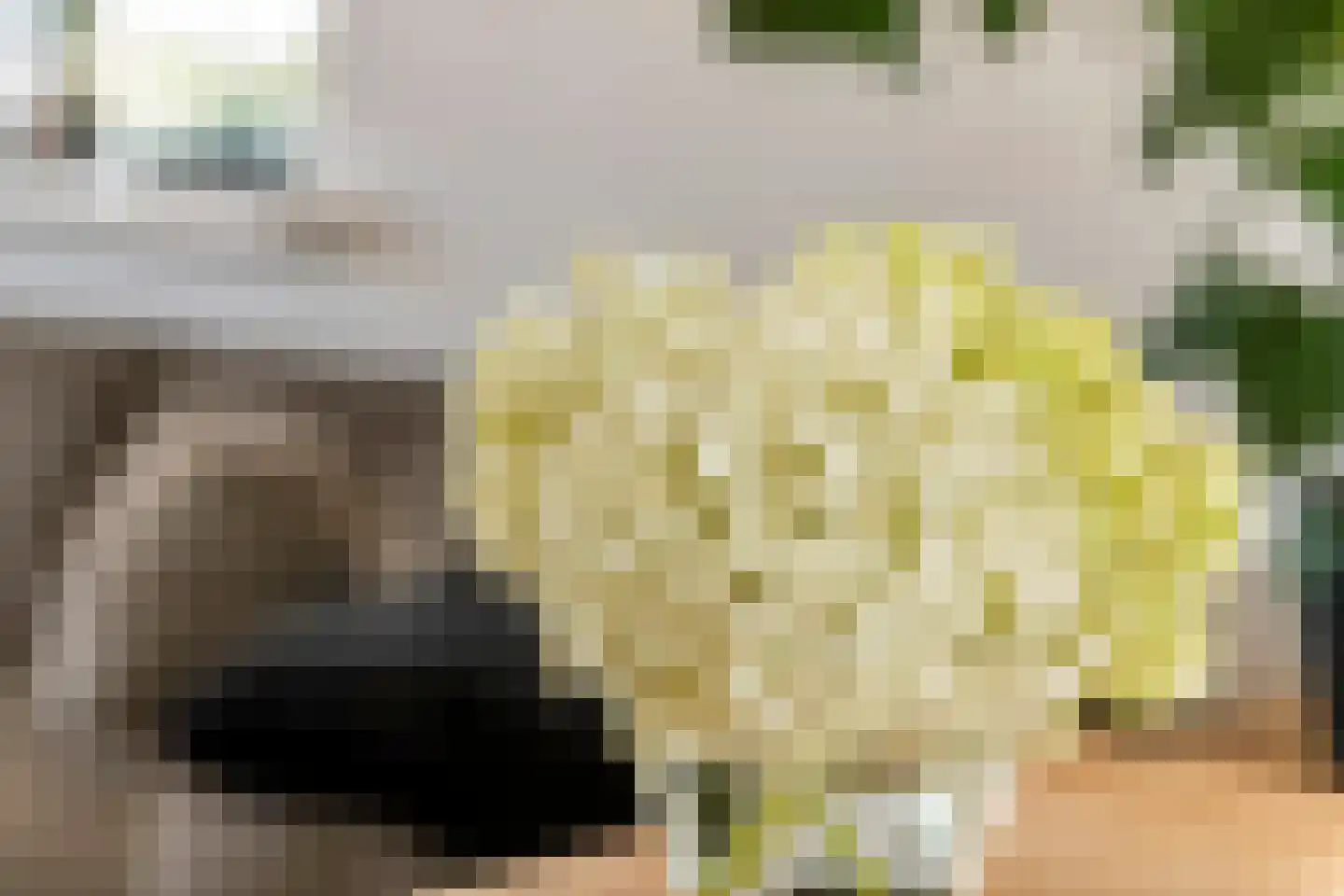 Gerestraat 19 Heesselt thumbnail 10