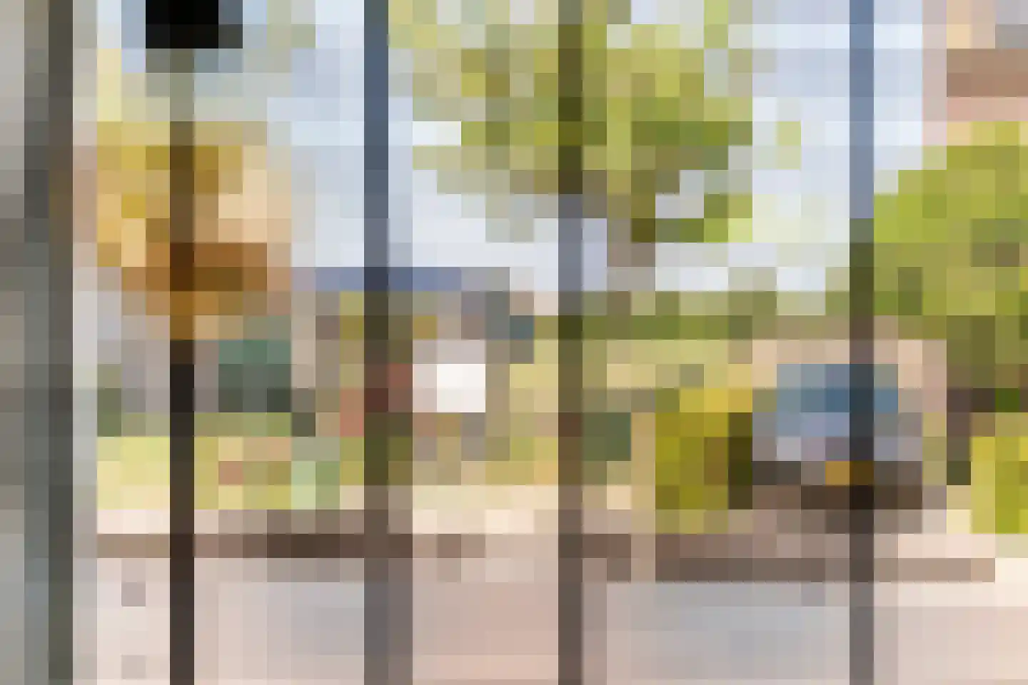Gerestraat 19 Heesselt thumbnail 13