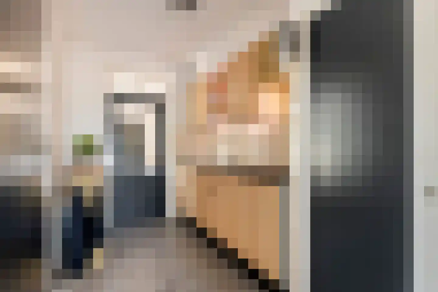 Gerestraat 19 Heesselt thumbnail 16