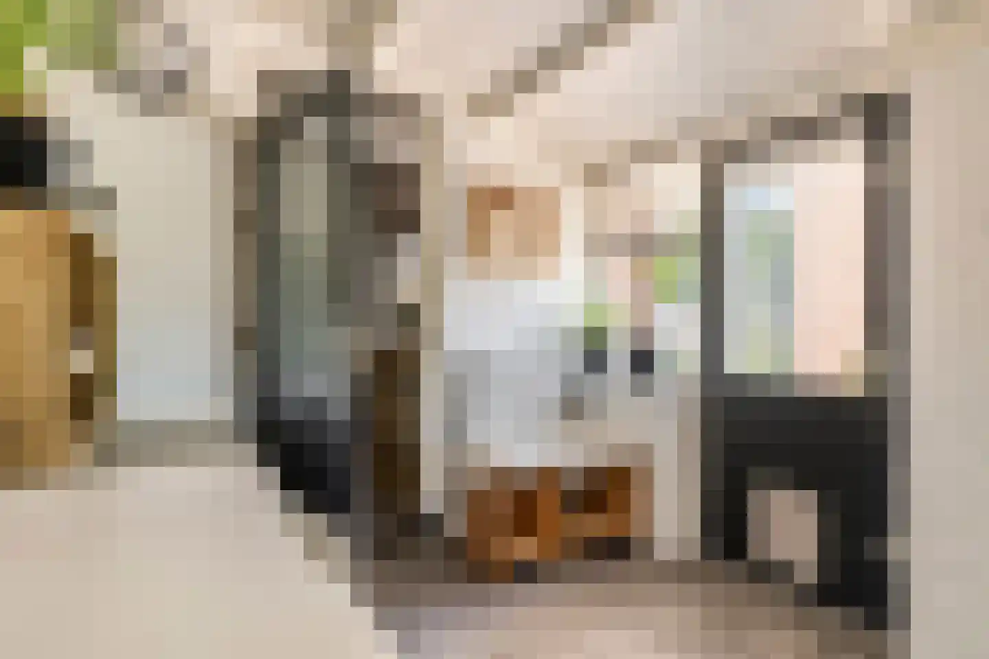Gerestraat 19 Heesselt thumbnail 21