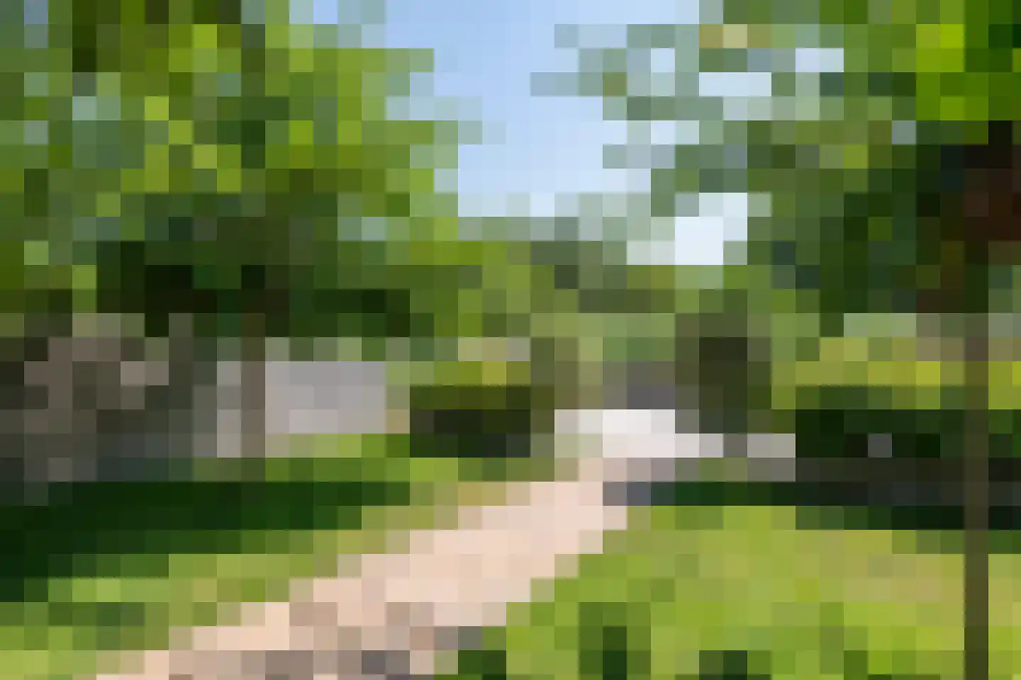 Gerestraat 19 Heesselt thumbnail 28