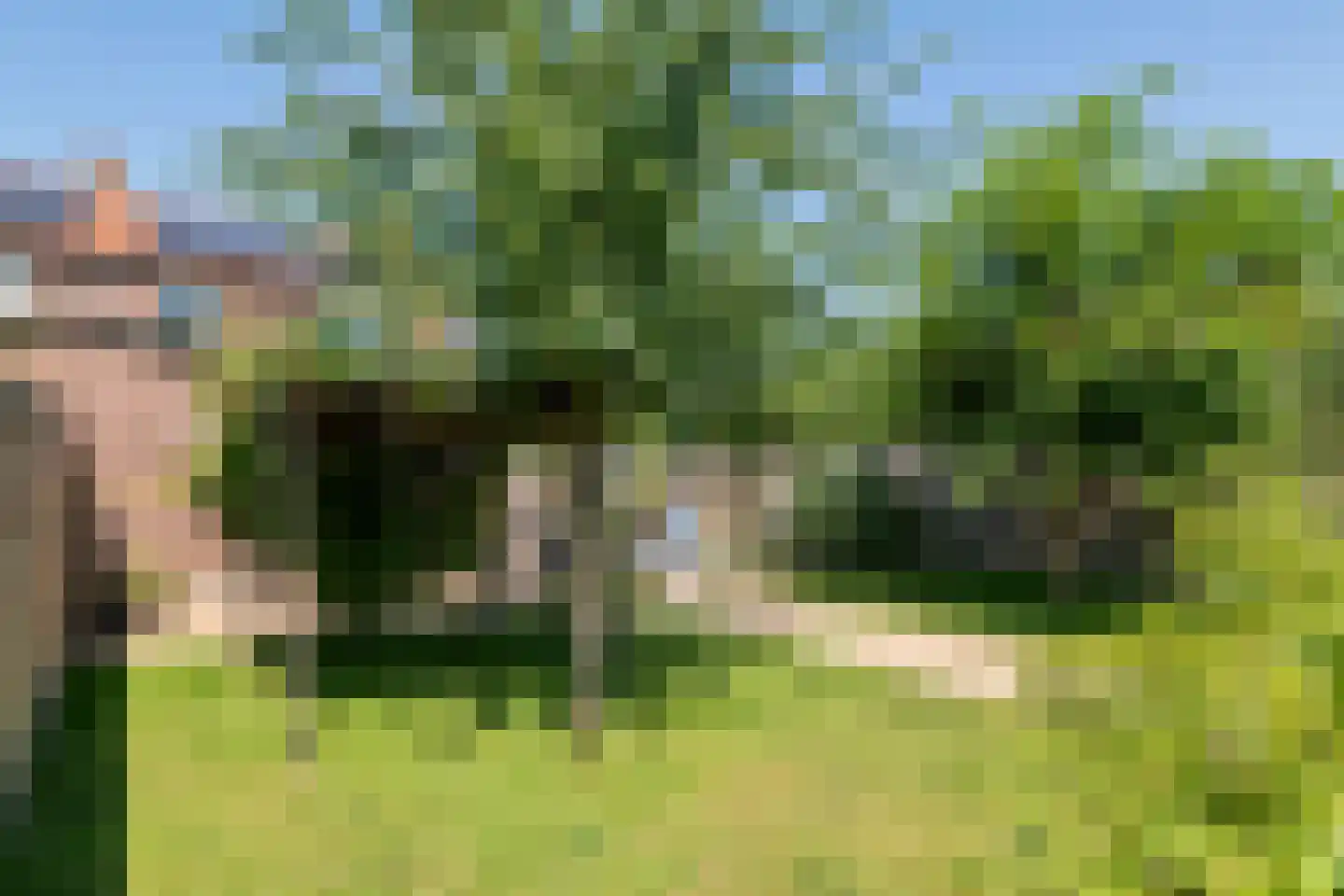 Gerestraat 19 Heesselt thumbnail 31