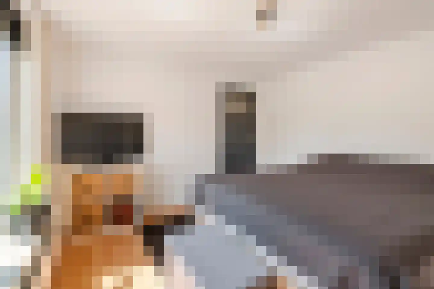 Gerestraat 19 Heesselt thumbnail 45