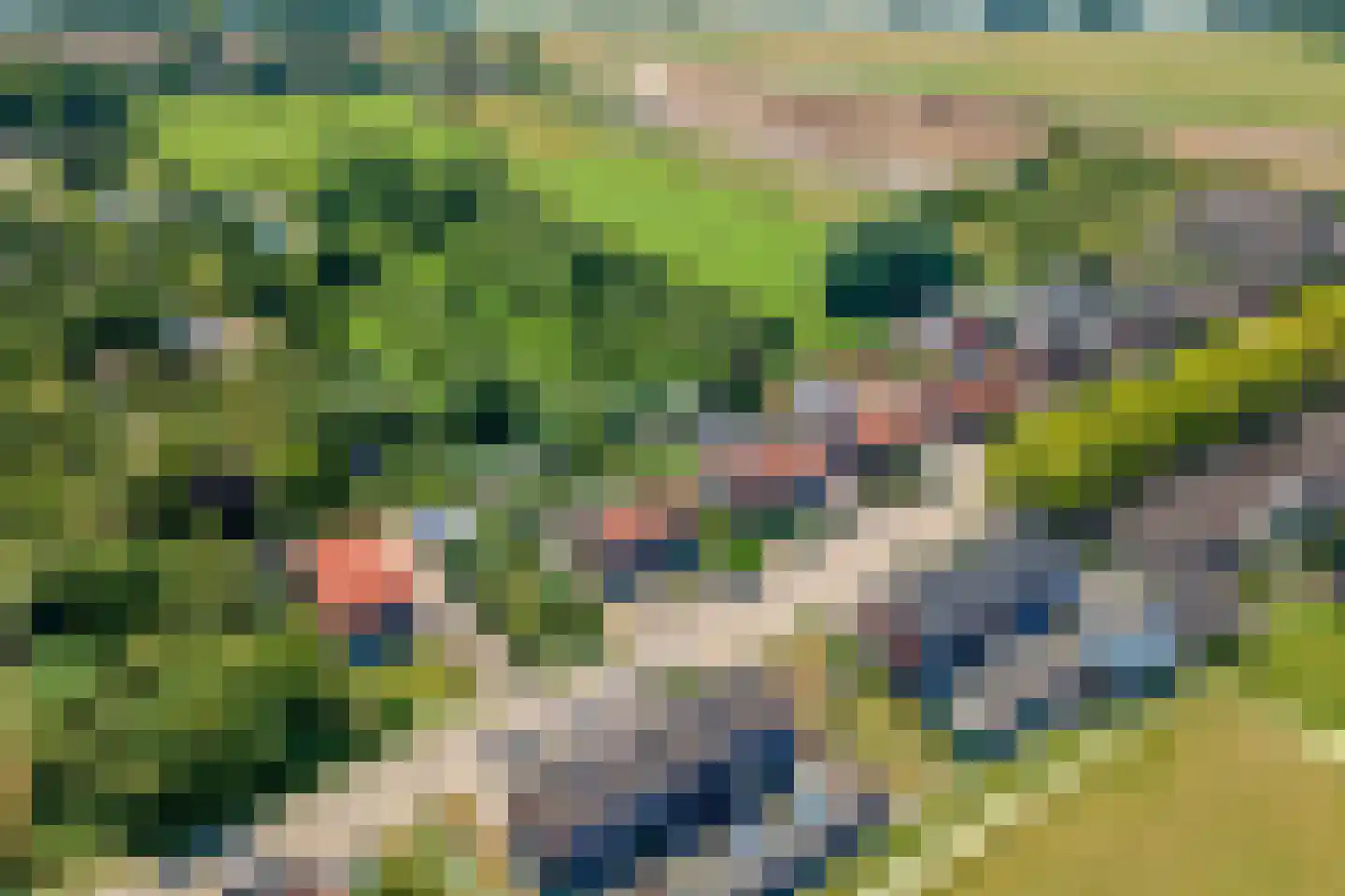 Gerestraat 19 Heesselt thumbnail 53