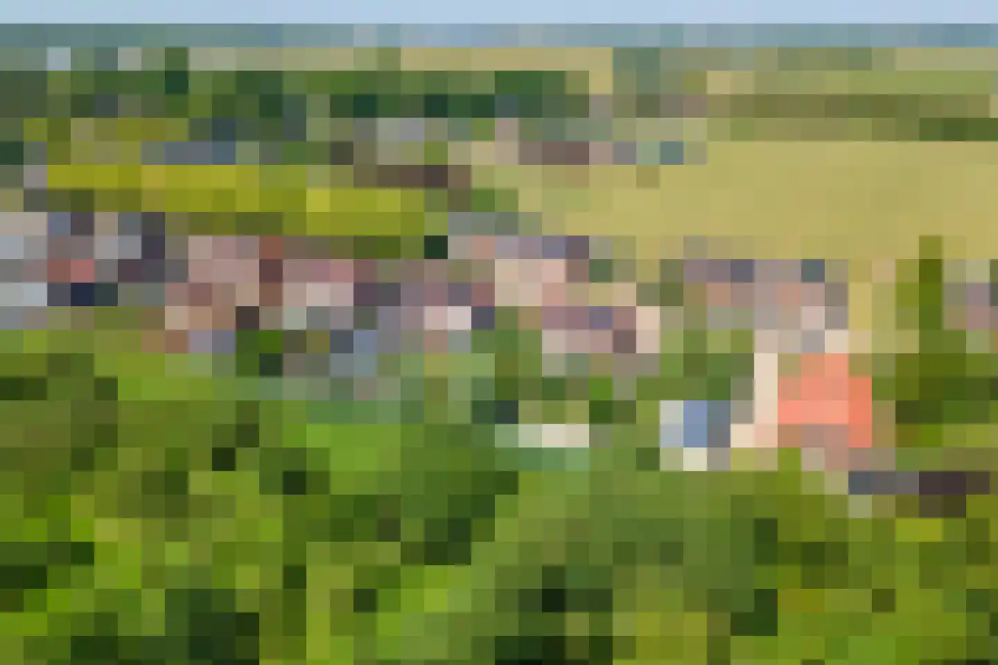 Gerestraat 19 Heesselt thumbnail 56